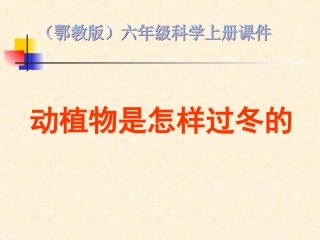 (鄂教版)六上动植物是怎样过冬的1