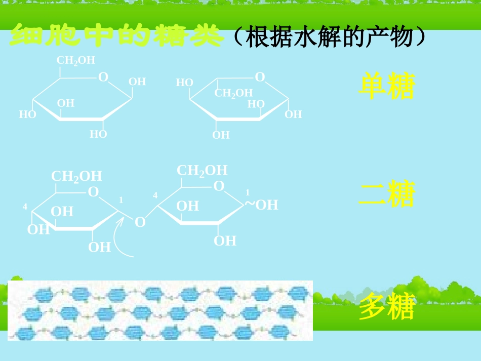 高中生物《有机化合物与生物大分子》课件15-浙科版必修1_第3页