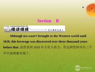 【课堂优化训练】2012年九年级英语-unit-9-Section-B配套课件-人教新目标版