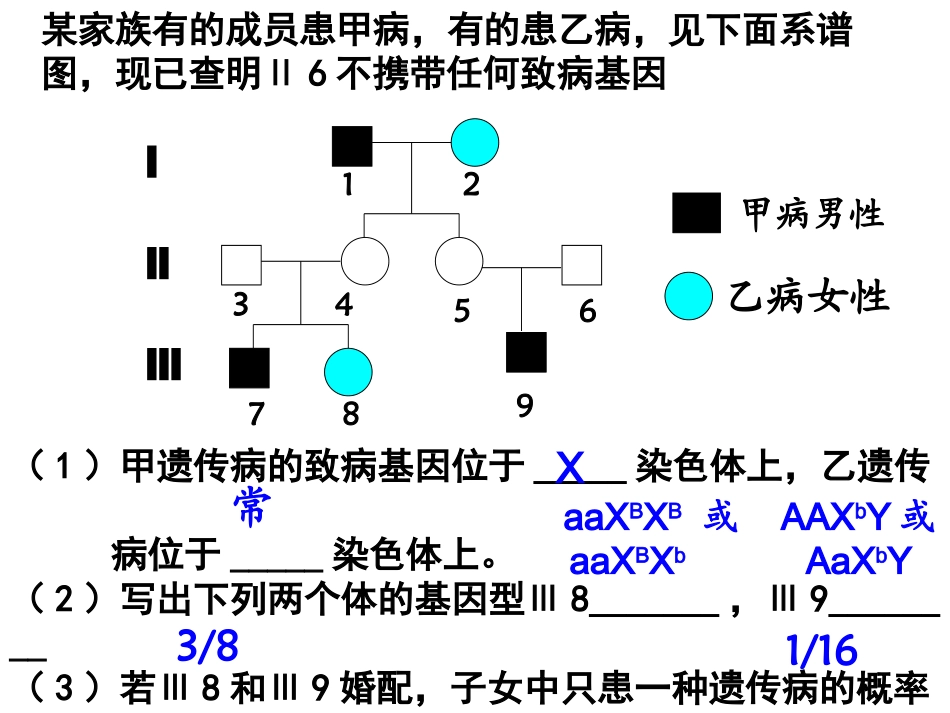 3.2《DNA分子的结构》课件13_第1页