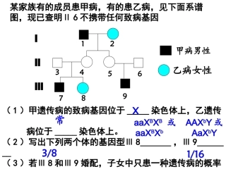 3.2《DNA分子的结构》课件13