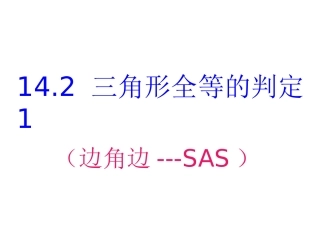 14.2三角形全等的判定一