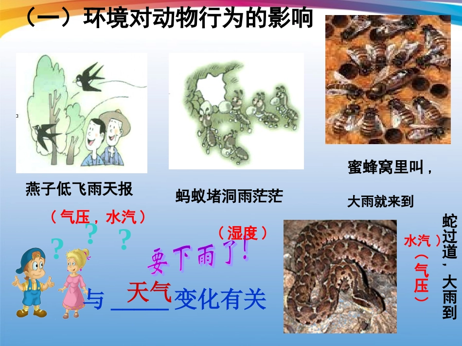 浙江省台州温岭市松门镇育英中学八年级科学上册-第三章生命活动的调节课件-浙教版_第2页
