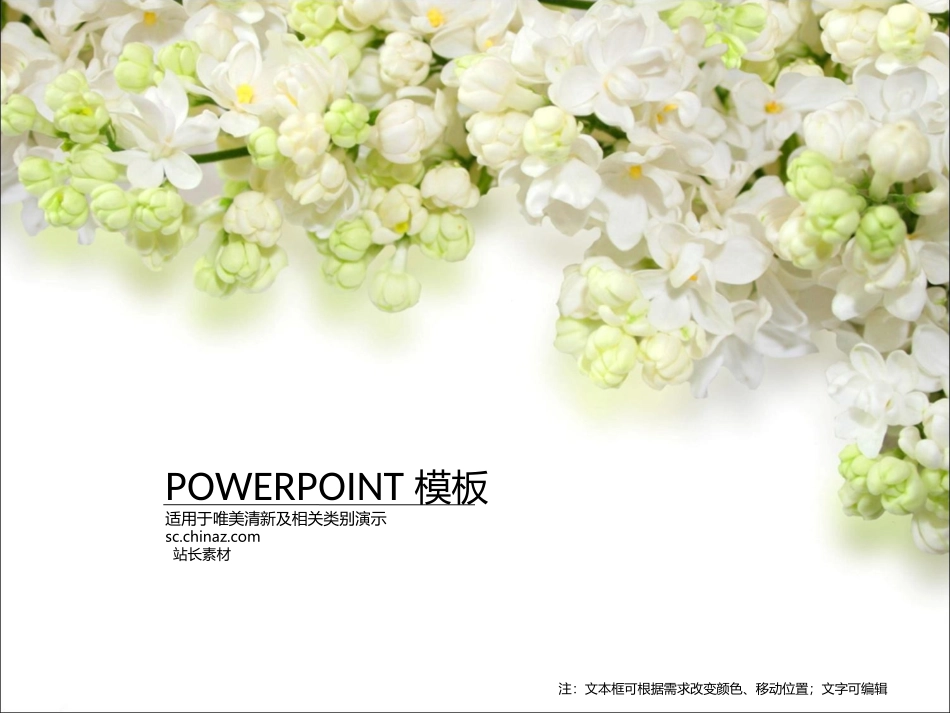 ppt4662_第1页