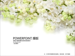 ppt4662