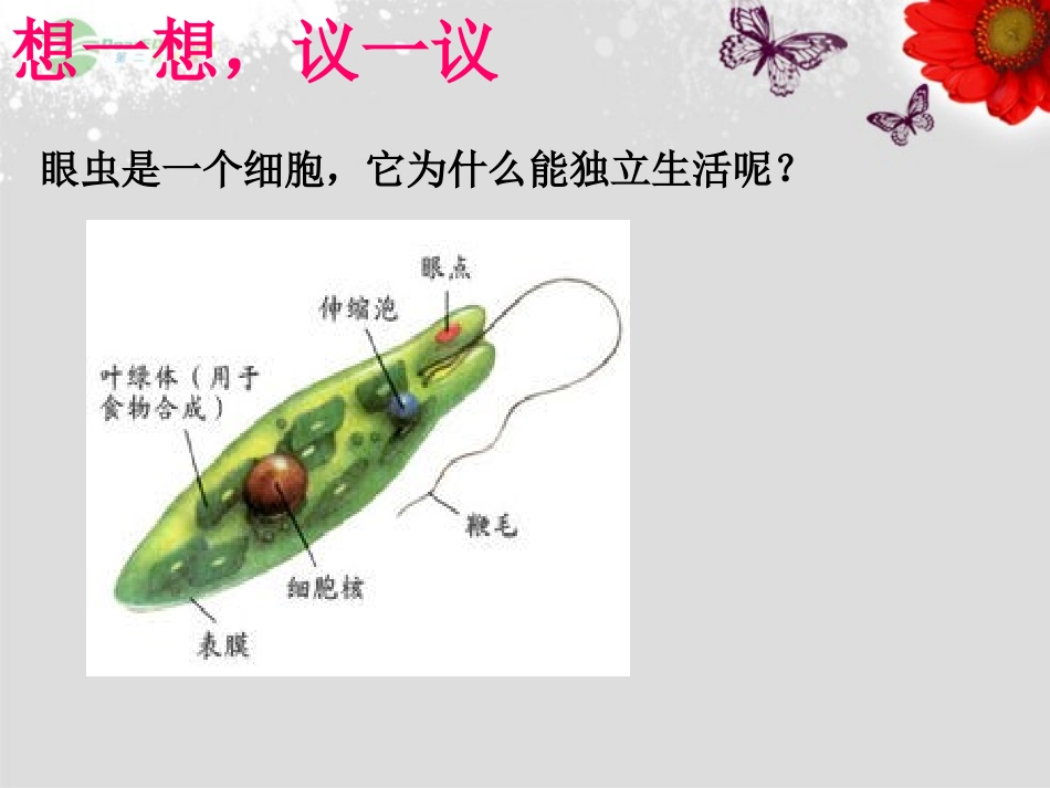 七年级生物上册-第四节-单细胞生物-新人教版_第2页