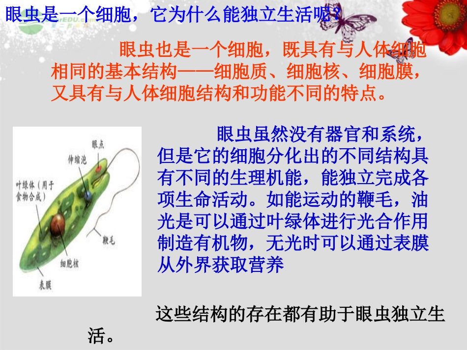 七年级生物上册-第四节-单细胞生物-新人教版_第3页