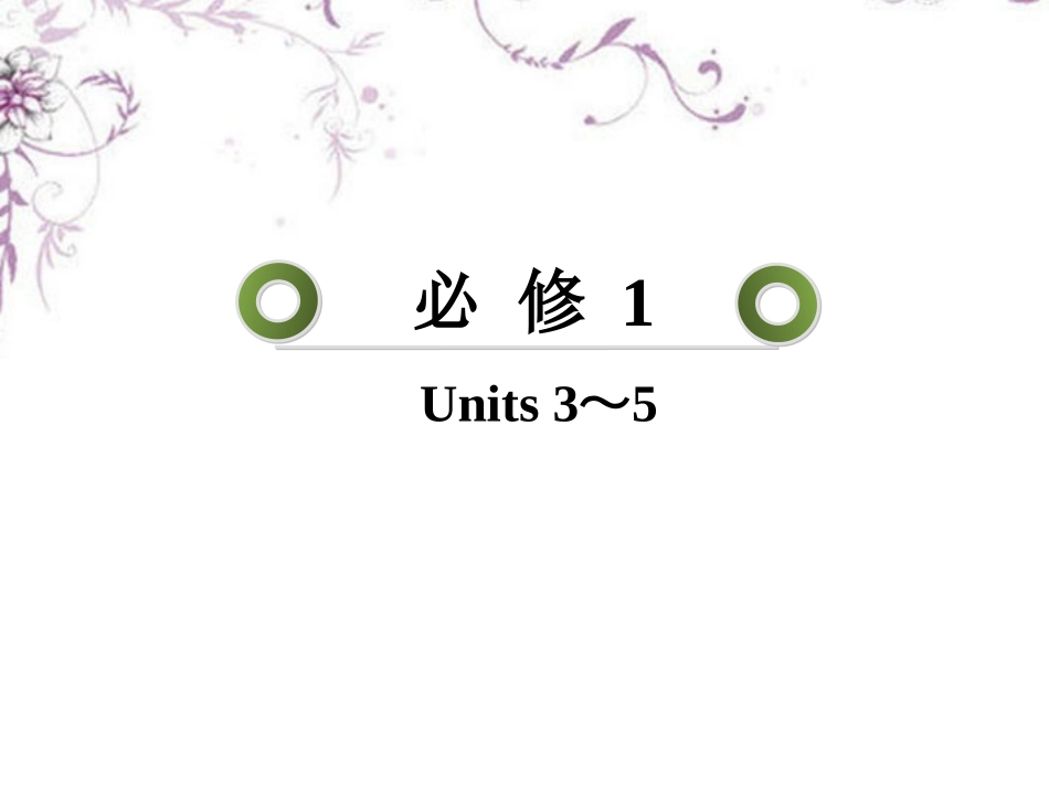 2013届高考英语一轮复习-1.5Nelson-Mandela-a-modern-hero课件-新人教版必修1_第2页