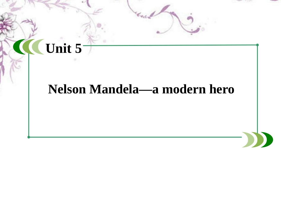 2013届高考英语一轮复习-1.5Nelson-Mandela-a-modern-hero课件-新人教版必修1_第3页