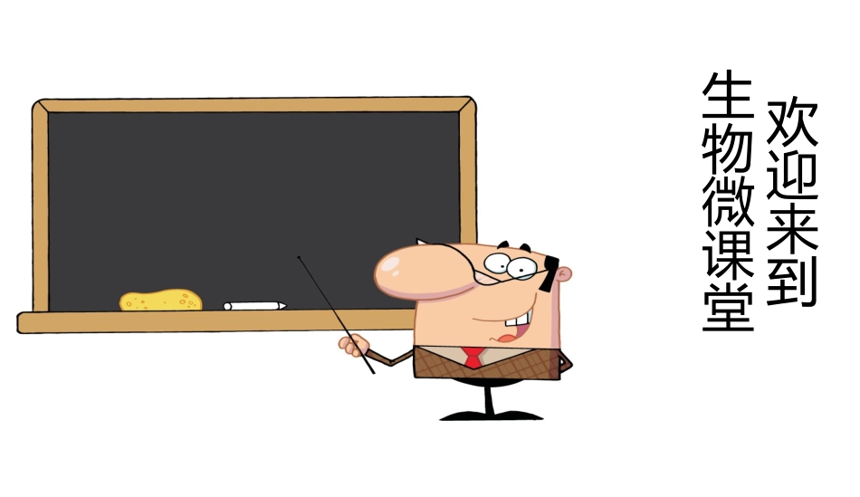 从基因到蛋白质_第3页