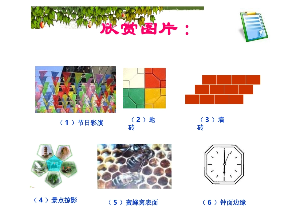 11.3多边形及其内角和(1).3.1-多边形_第3页