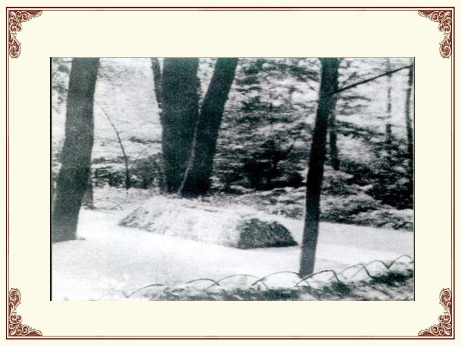 九世间最美的坟墓——记1928年的一次俄国旅行_第3页