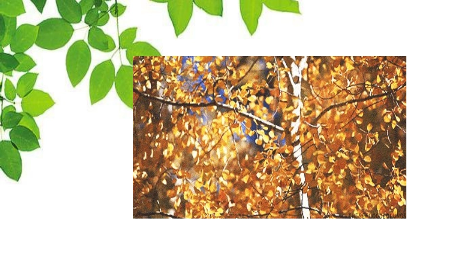 Lesson36SpringinChina_第3页