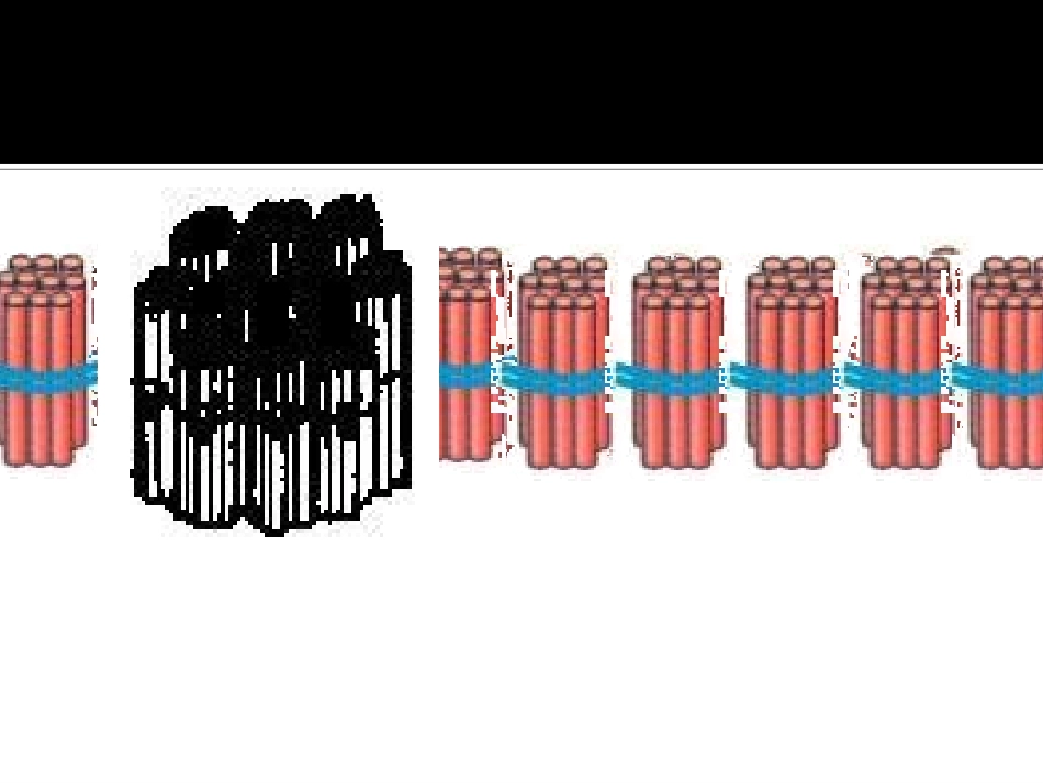488千以内数的认识_第3页