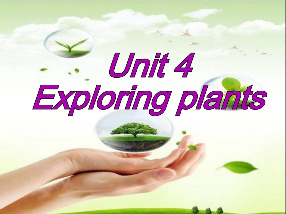 UsingLanguageⅠ-(4)_第2页