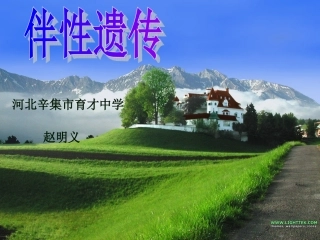 第四节伴性遗传-(5)