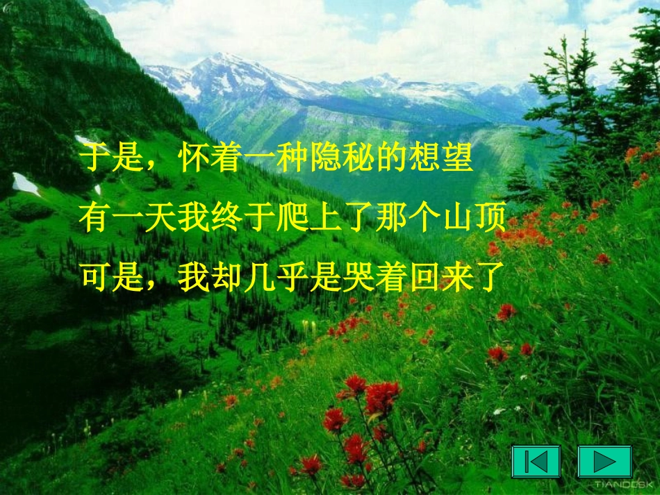 在山的那一边_第3页