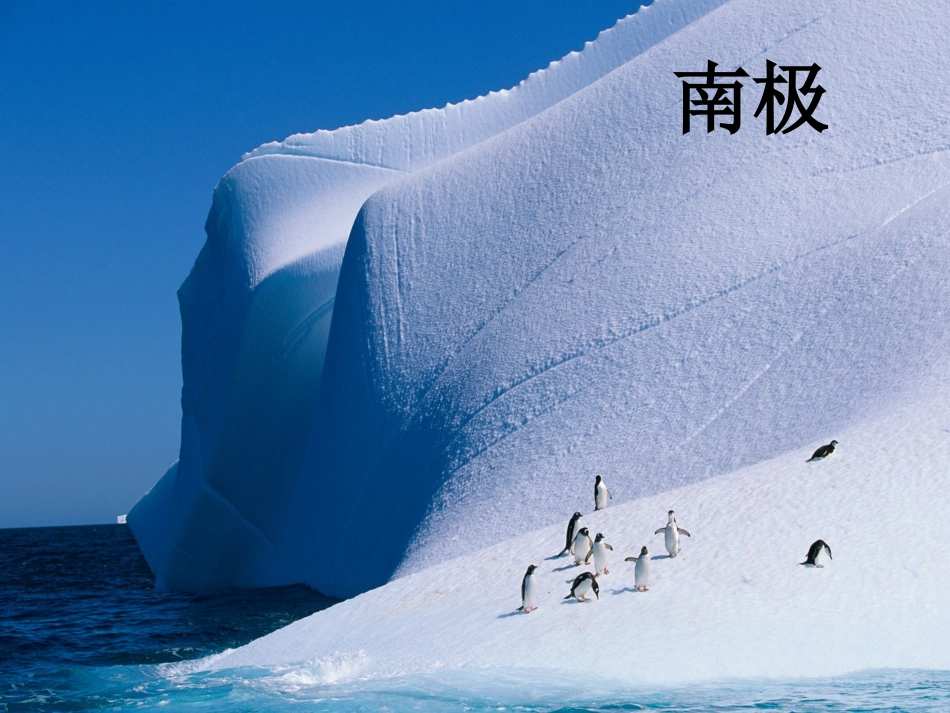 《把我寄给爸爸》课件1_第2页