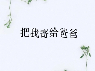 《把我寄给爸爸》课件1