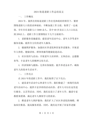 2024街道老龄工作总结范文