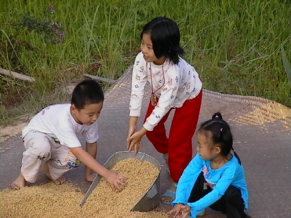 辛店镇辛店村小学-王晓龙《圆锥的体积》_第3页