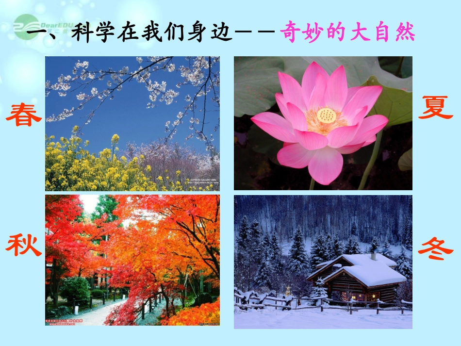 七年级科学上册《科学在我们身边》课件8-浙教版_第2页