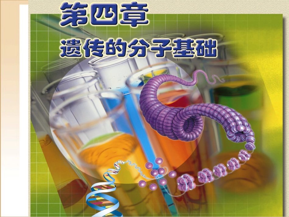 高中生物第一节-探索遗传物质的过程课件苏教版必修2_第1页