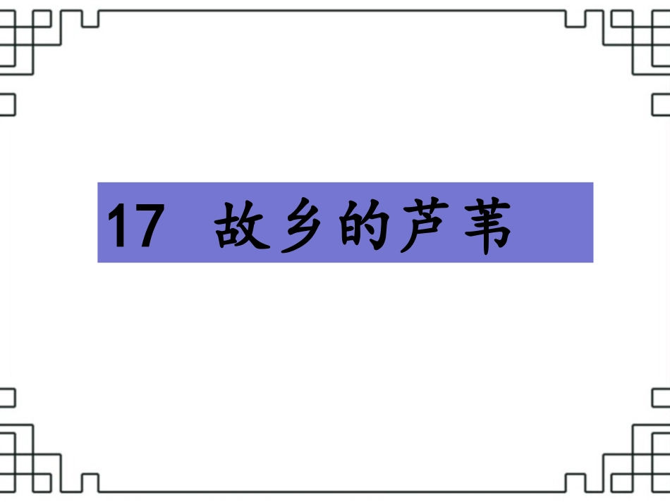 《故乡的芦苇》课件2_第1页