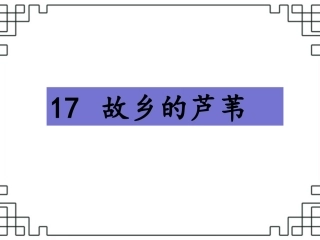 《故乡的芦苇》课件2