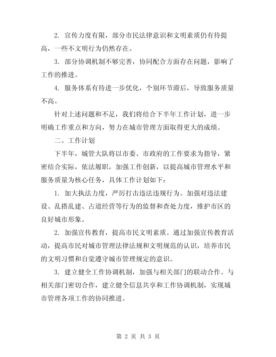 2024年城管大队半年总结及工作计划 _第2页
