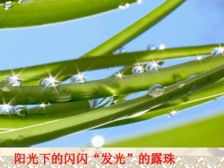 3.光的全反射