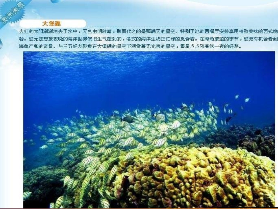 《探访自然的奇观》课件1_第3页