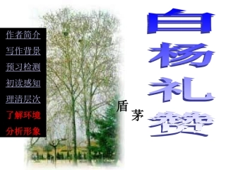 白杨礼赞课件