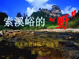 索溪峪的野1