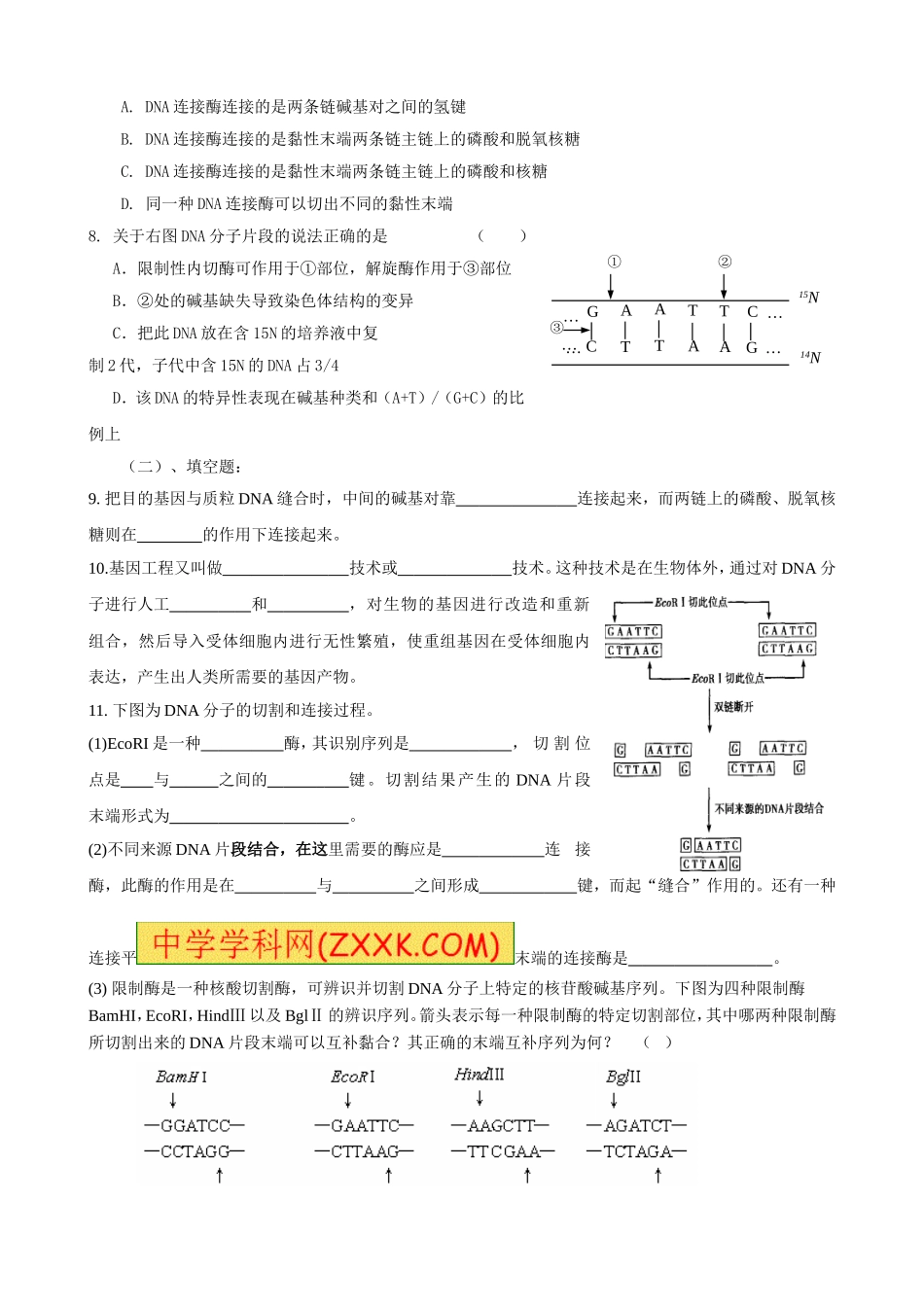 1.1-DNA重组技术的基本工具_第2页