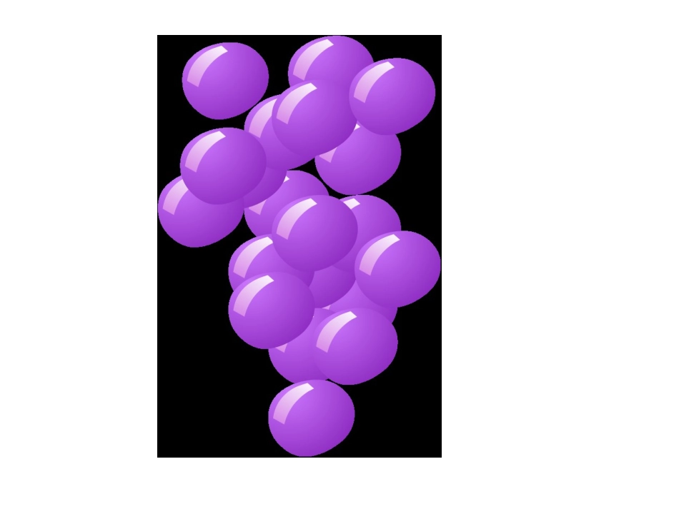 17.酸的和甜的_第3页