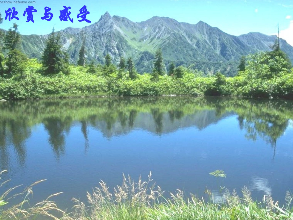 5.1-轴对称现象-(6)_第1页
