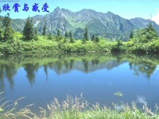 5.1-轴对称现象-(6)