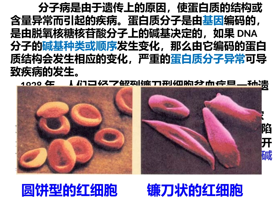 第一节生物变异的来源_第3页