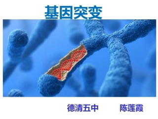 第一节生物变异的来源