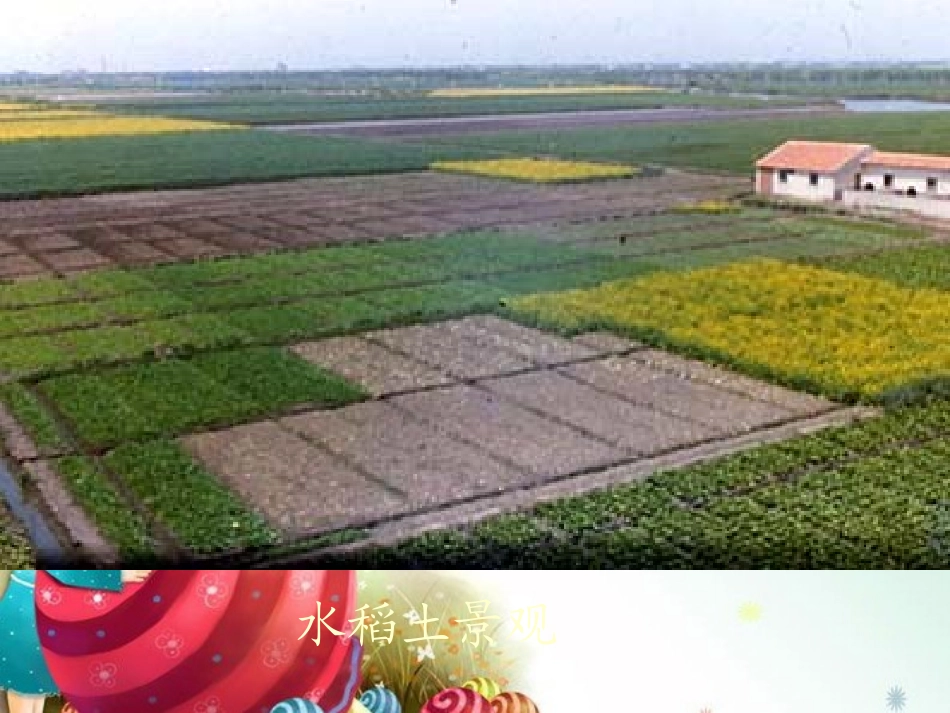 七年级科学下册-第四章-土壤-1.土壤的组成和利用-课件华师大版_第3页