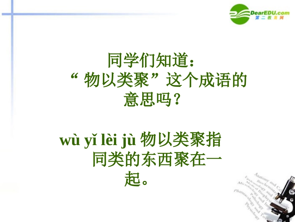 七年级数学上册《同类项》课件-华东师大版_第2页