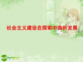 高三历史专题复习-社会主义建设在探索中曲折发展课件-人民版