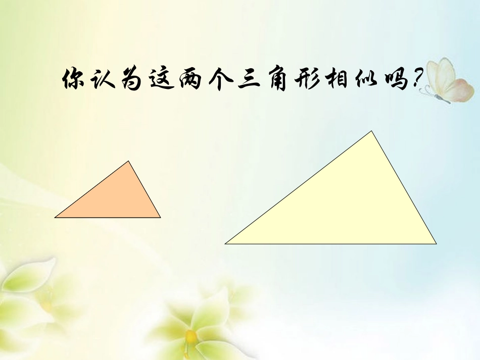 浙江省慈溪市横河初级中学九年级数学上册-4.2相似三角形课件-浙教版_第2页