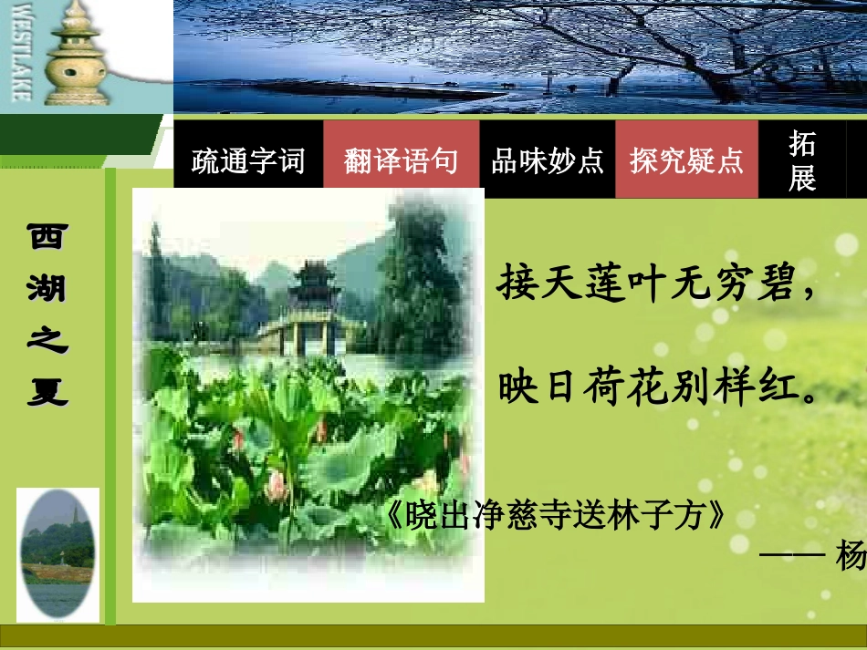 浙江省温州市第十一中学八年级语文上册《湖心亭看雪》课件-新人教版_第3页