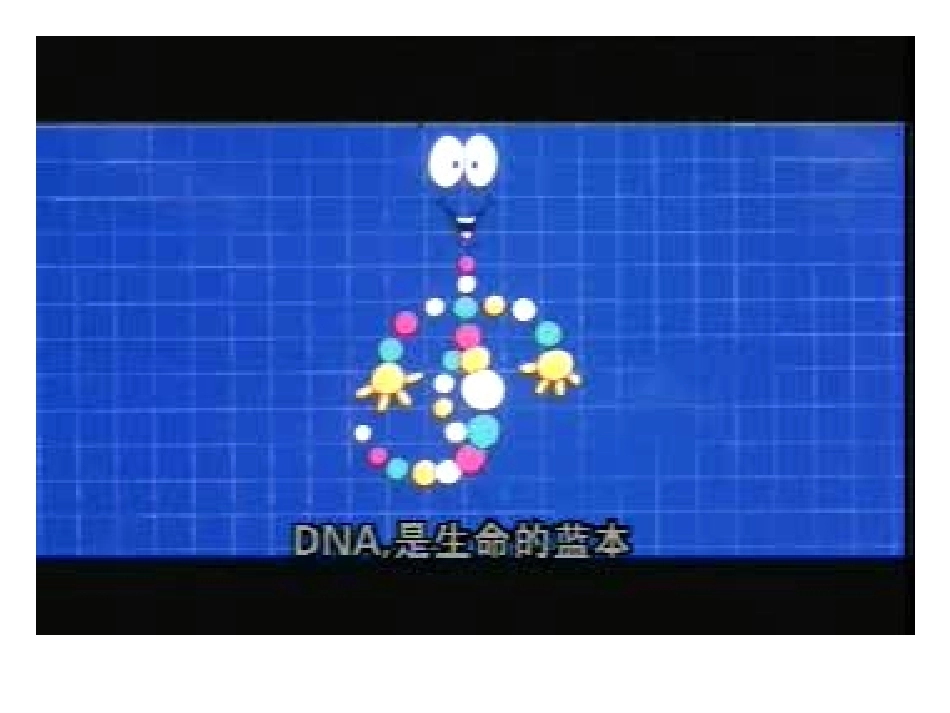 第四节遗传信息的表达和蛋白质的合成_第3页