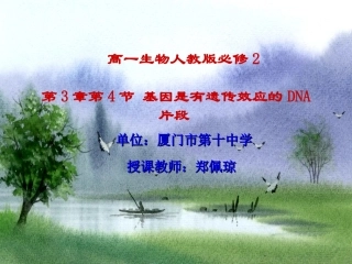 第四节遗传信息的表达和蛋白质的合成