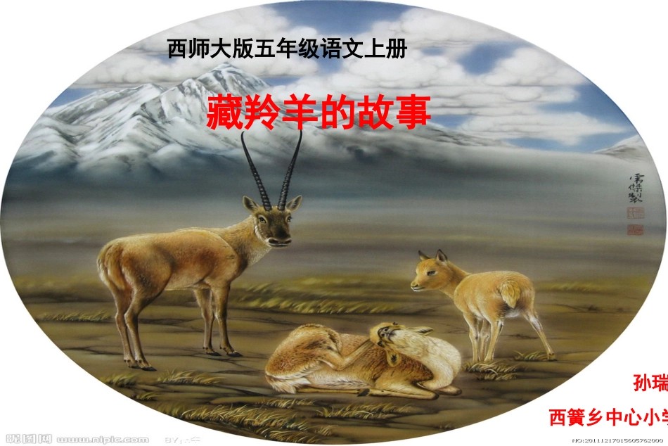7藏羚羊的故事_第1页