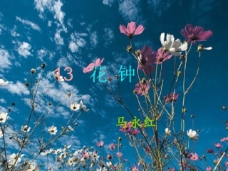 花钟-马永红.