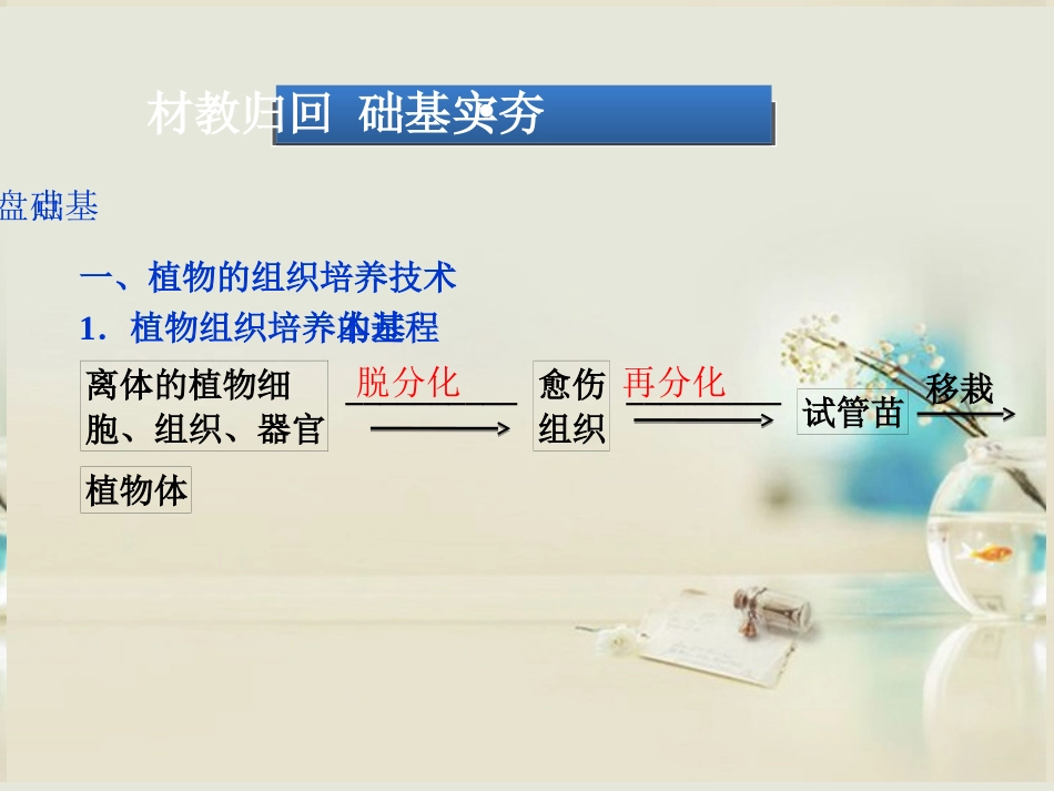 【优化方案】2014届高考生物一轮复习-专题3、4-植物的组织培养技术-酶的研究与应用课件-新人教版选修1_第3页